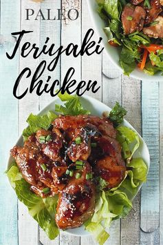 Pure Delicious Teriyaki Chicken