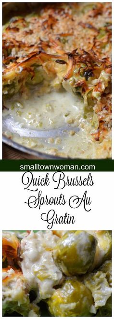 Quick Brussels Sprouts Au Gratin