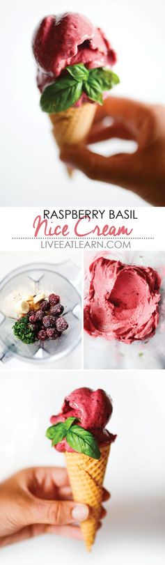 Raspberry Basil Nice Cream