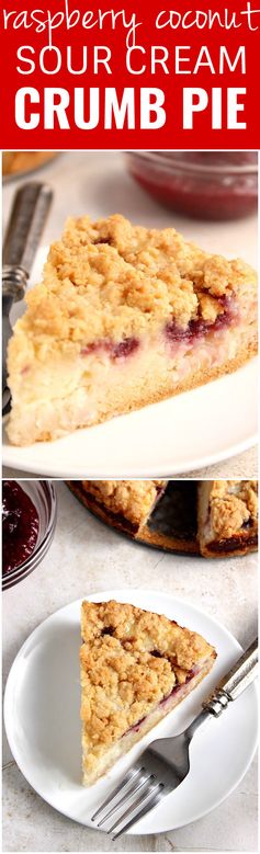 Raspberry Coconut Sour Cream Crumb Pie