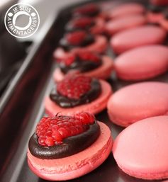 Raspberry Dark Chocolate Macarons