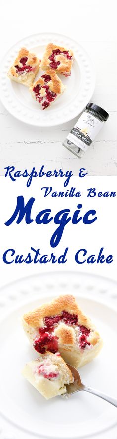 Raspberry Vanilla Bean Magic Custard Cake