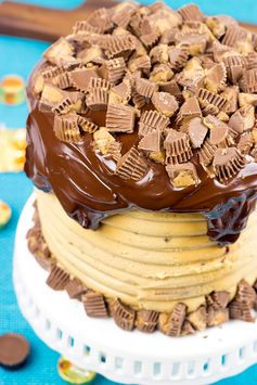 Reese’s Chocolate Peanut Butter Cake