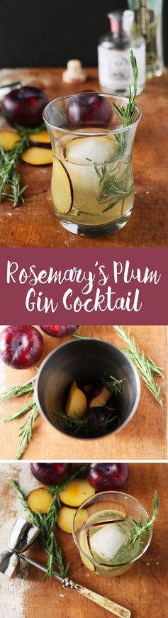 Rosemary's Plum Gin Cocktail