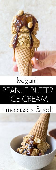 Salted Peanut Butter Molasses Ice Cream