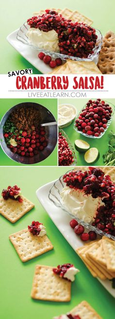 Savory Cranberry Salsa