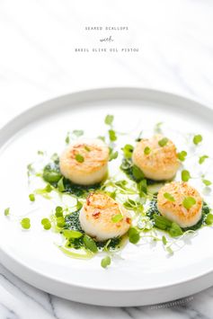 Seared Scallops with Basil Olive Oil Pistou with Microgreens