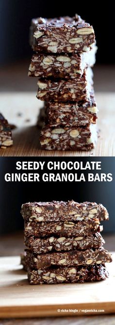 Seedy Chocolate No Bake Granola Bars