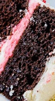 Simple Chocolate Peppermint Cake