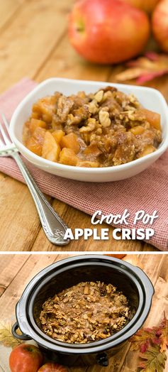 Slow Cooker Apple Crisp with Vanilla Ice Cream