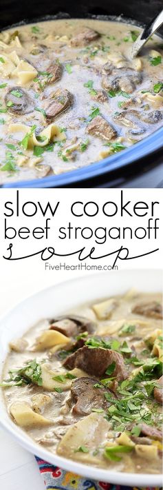 Slow Cooker Beef Stroganoff Soup