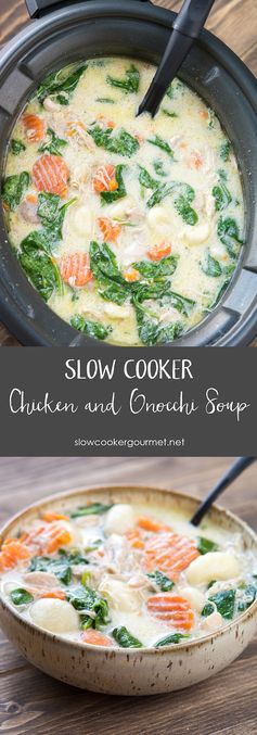 Slow Cooker Chicken and Gnocchi Soup