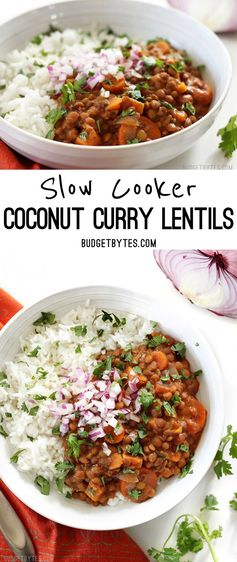 Slow Cooker Coconut Curry Lentils
