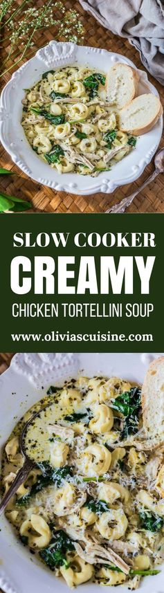 Slow Cooker Creamy Chicken Tortellini Soup