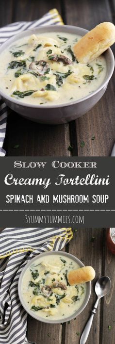 Slow Cooker Creamy Tortellini Spinach and Mushroom Soup