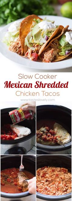 Slow Cooker Mexican Shredded Chicken Tacos