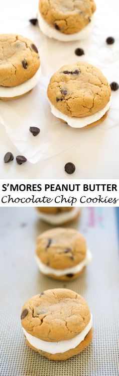 S'mores Peanut Butter Chocolate Chip Cookies
