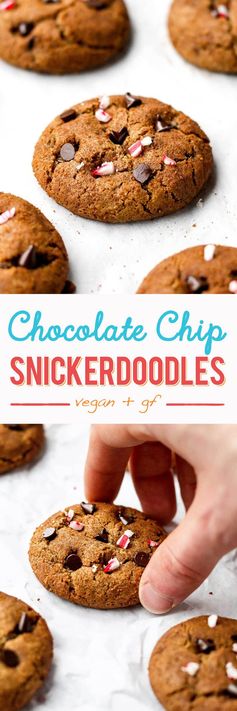 Soft Chocolate Chip Snickerdoodles