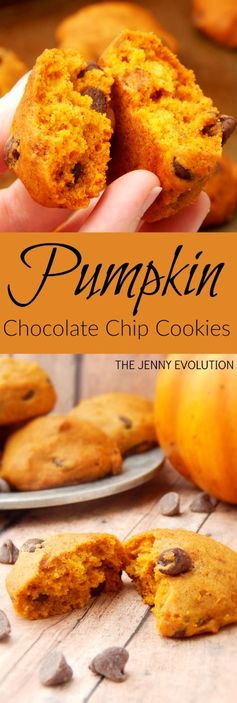 Soft Pumpkin Chocolate Chip Cookies