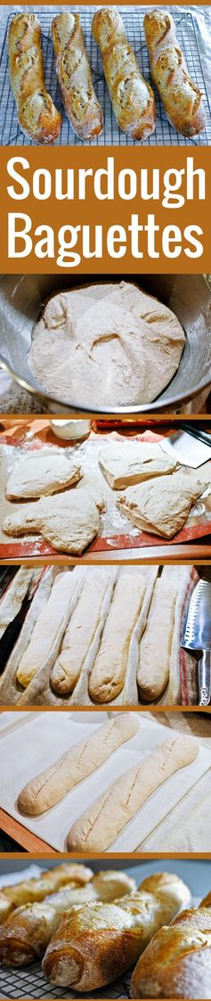 Sourdough Starter Baguettes