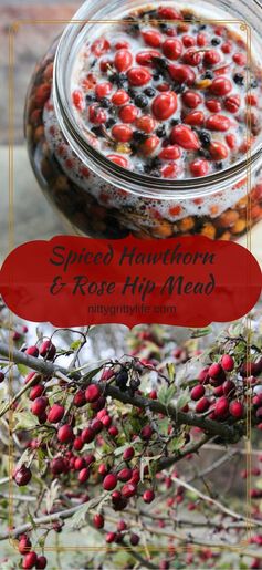 Spiced Hawthorn & Rose Hip Mead