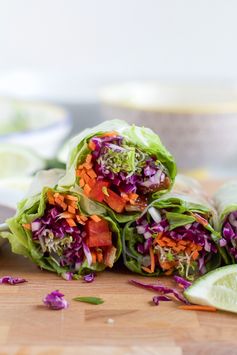 Spicy Asian Chicken Spring Rolls