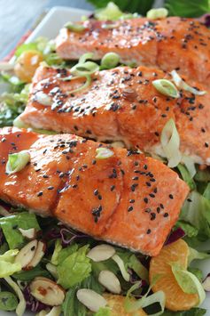 Spicy Candied Salmon Salad with Ginger Honey Dressing