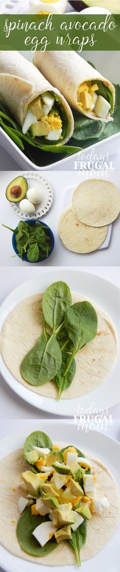 Spinach Avocado Egg Wraps