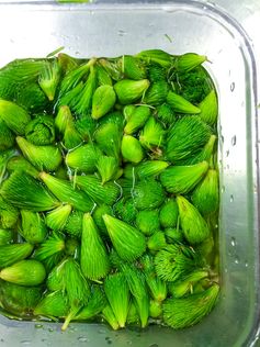 Spruce Tip Vinegar