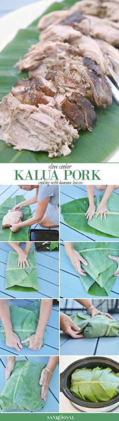 Succulent Slow Cooker Kalua Pork