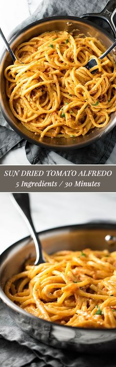 Sun Dried Tomato Alfredo