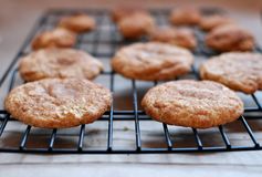 Super Soft Snickerdoodle Cookies