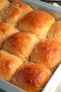 Sweet Potato Dinner Rolls