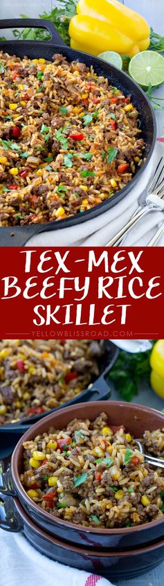 Tex Mex Beef & Rice Skillet