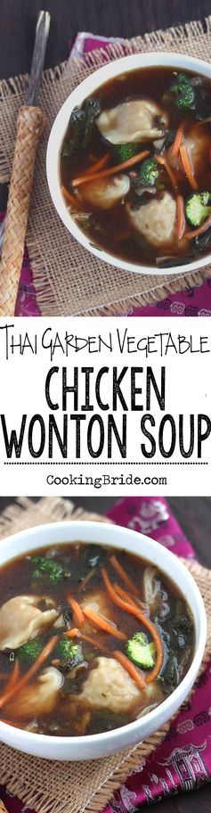 Thai Garden Vegetable Chicken Wonton Soup