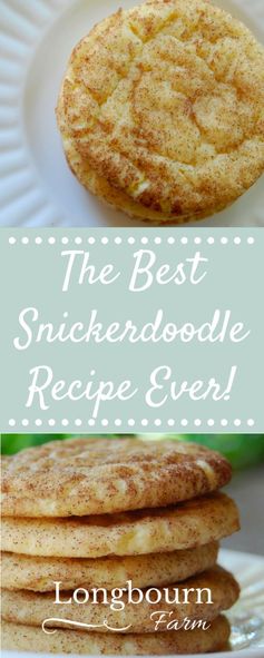 The Best Snickerdoodle