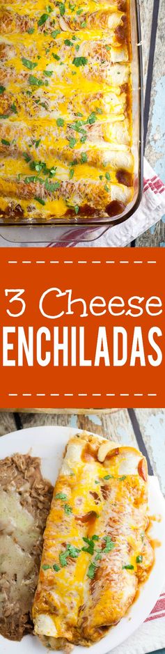 Three Cheese Enchiladas