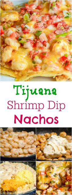 Tijuana Shrimp Dip Nachos