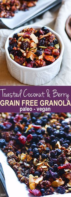 Toasted Coconut and Berry Grain Free Granola (Vegan, Paleo