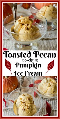 Toasted Pecan Pumpkin Ice Cream Easy No-Churn