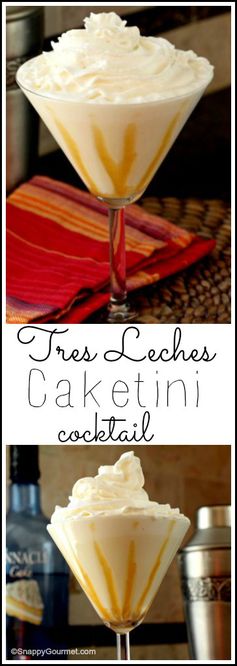 Tres Leches Caketini