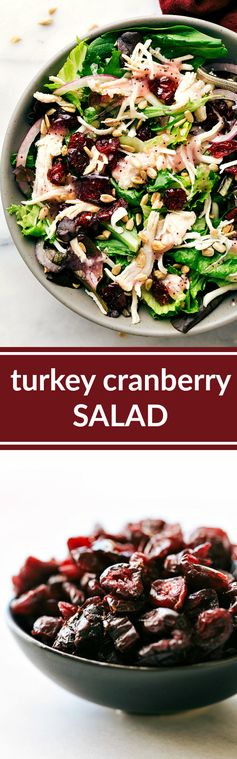 Turkey, Cranberry, and Sunflower Seed Salad (Kneader's Copycat