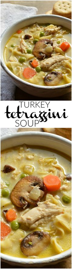 Turkey Tetrazzini Soup