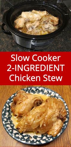 Two Ingredient Slow Cooker Chicken Onion Stew