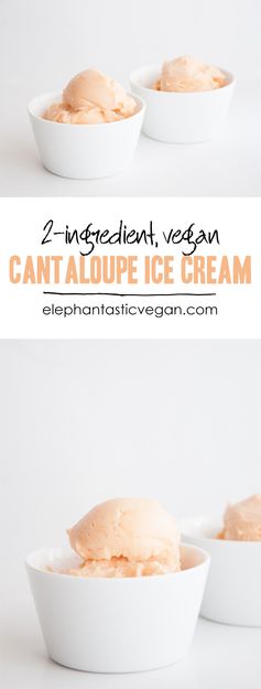 Vegan 2 Ingredient Cantaloupe Ice Cream