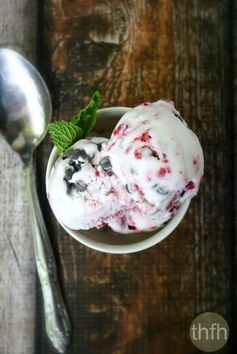 Vegan Chocolate Chip Raspberry Swirl Ice Cream (“Almost” Raw, Vegan, Gluten-Free, Dairy-Free, Egg-Free, Paleo-Friendly, No Refined Sugar