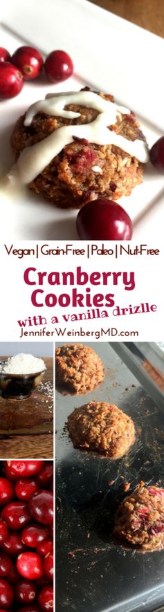 Vegan Grain-Free Festive Cranberry Cookies with a Vanilla Drizzle