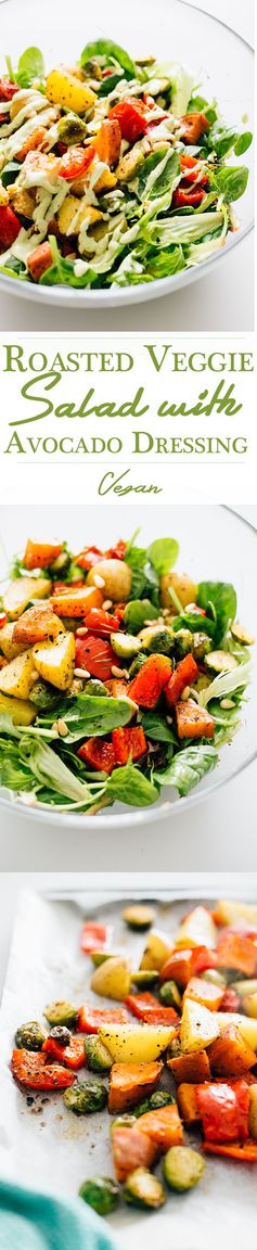 Vegan Roasted Vegetable Salad with Avocado Dressing