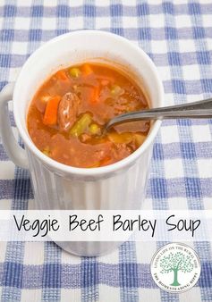 Vegetable Beef 'N' Barley Soup