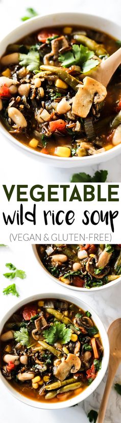 Vegetable Wild Rice Soup